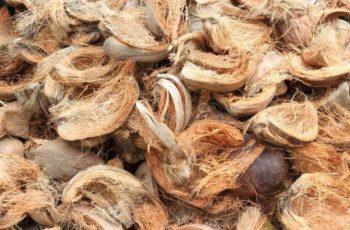 kegunaan serat sabut kelapa